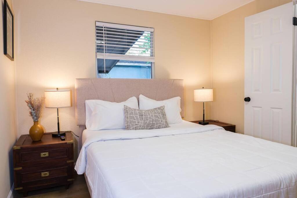 House Near Tampa Zoo And Busch Gardens, Free High Speed Wifi Villa Eksteriør bilde