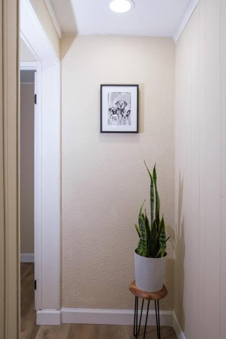 House Near Tampa Zoo And Busch Gardens, Free High Speed Wifi Villa Eksteriør bilde